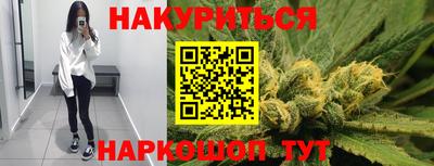 амф Кингисепп