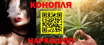 амф Кингисепп