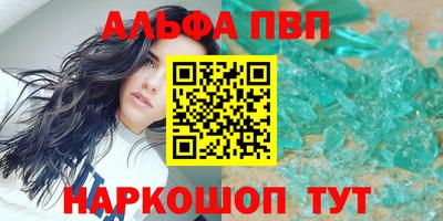 амф Кингисепп