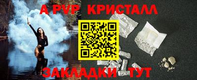 амф Кингисепп