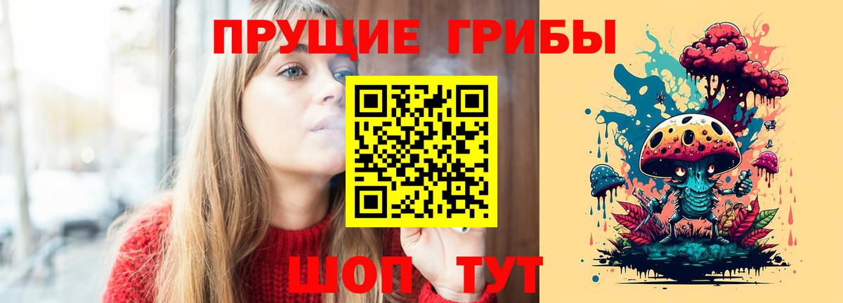 Котлас  Псилоцибиновые грибы Psilocybe  Псилоцибиновые грибы ЛСД  Вход с VPN 