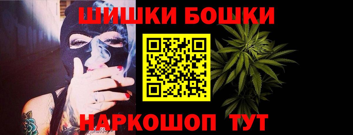 Бошки Шишки план Котлас